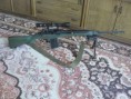 M14 - CYMA 